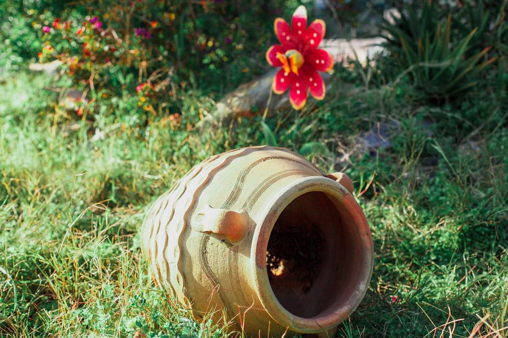 Wild Pear Villa Ligaria  Exterior photo